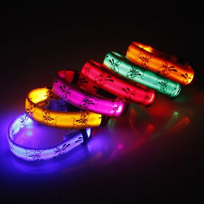 Catty & Doggy™ LED Dog Collar🐾