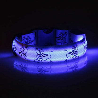 Catty & Doggy™ LED Dog Collar🐾