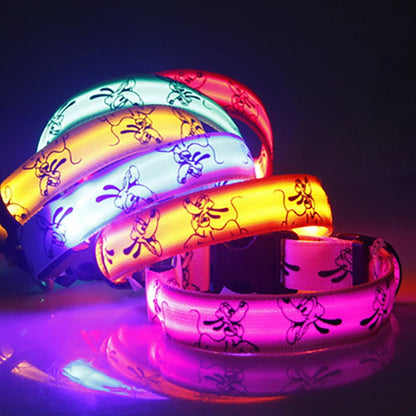 Catty & Doggy™ LED Dog Collar🐾