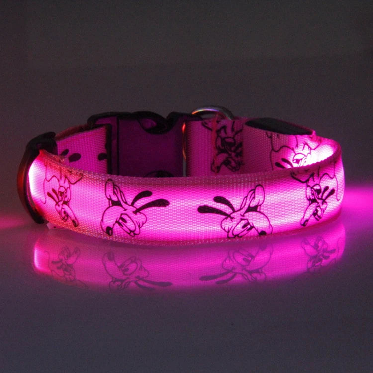 Catty & Doggy™ LED Dog Collar🐾