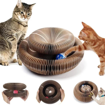 Catty & Doggy™ Magic Organ Cat Toy🐾