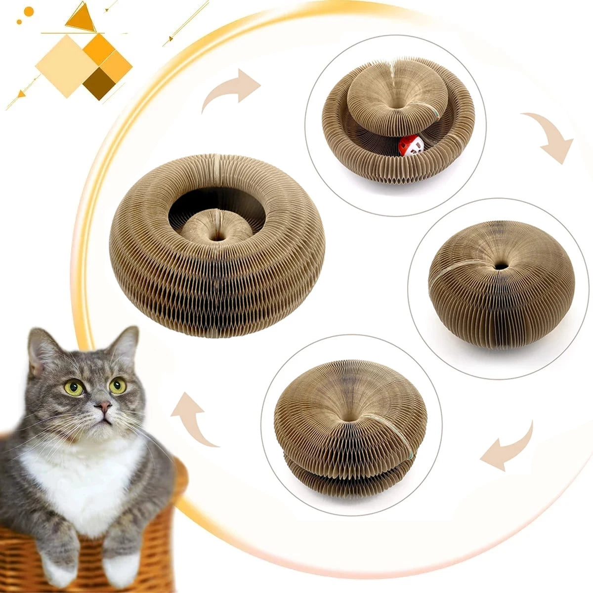 Catty & Doggy™ Magic Organ Cat Toy🐾