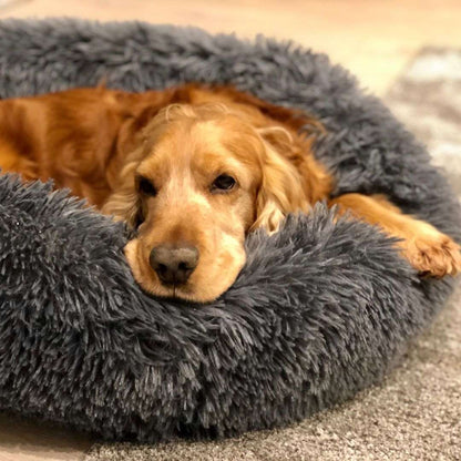 Catty & Doggy™ Cosy Calming Cat|Dog Bed🐾