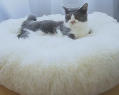 Catty & Doggy™ Cosy Calming Cat|Dog Bed🐾